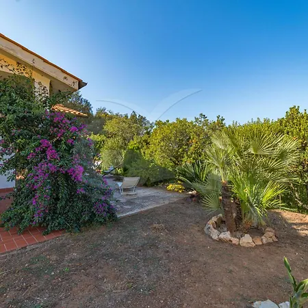 Villino - Goelba Nisporto
